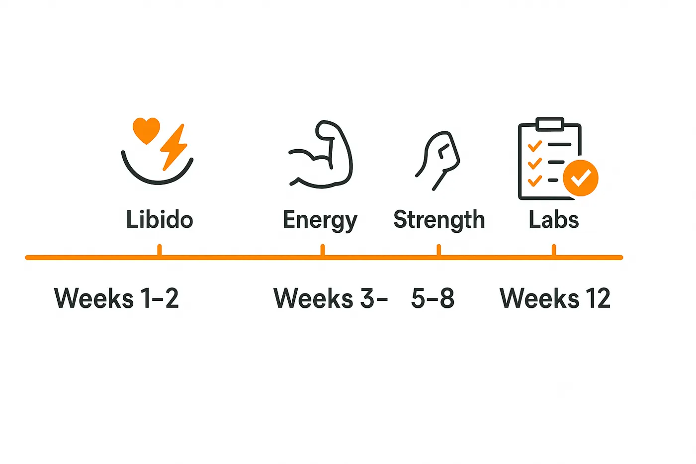 Illustrated TRT timeline marking libido, energy, strength and labs