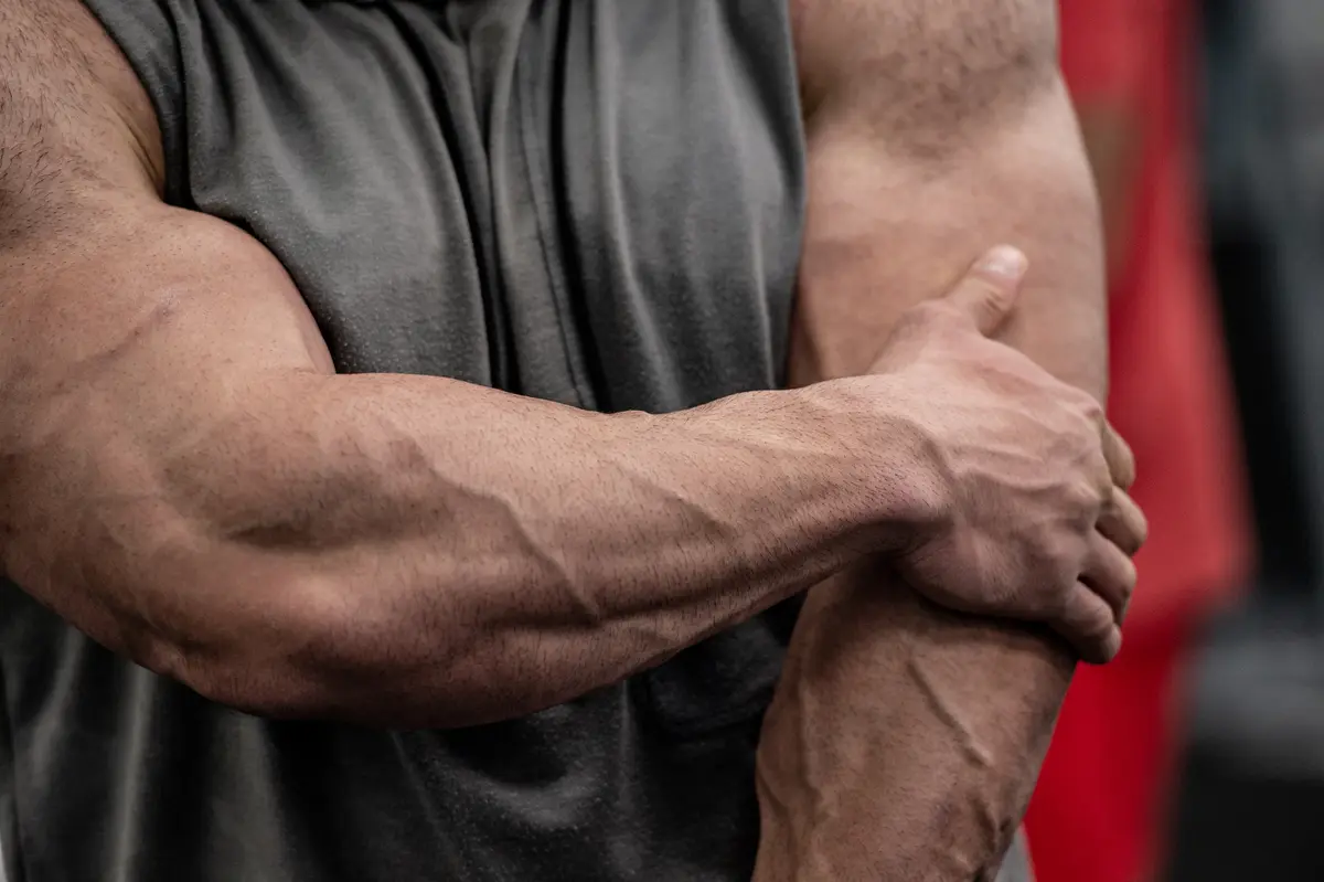 Close view of a muscular forearm and bicep