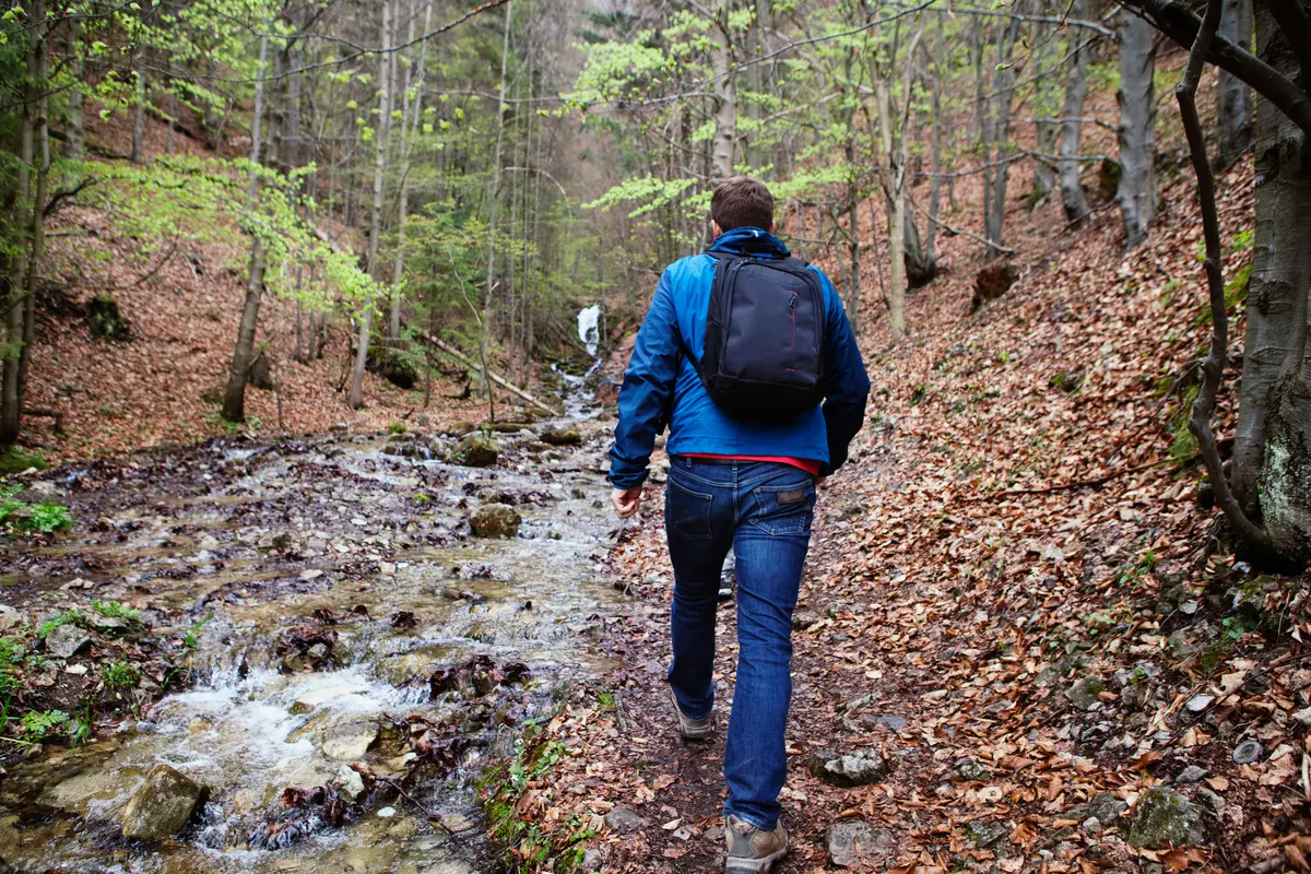 Man hiking along a forest trail